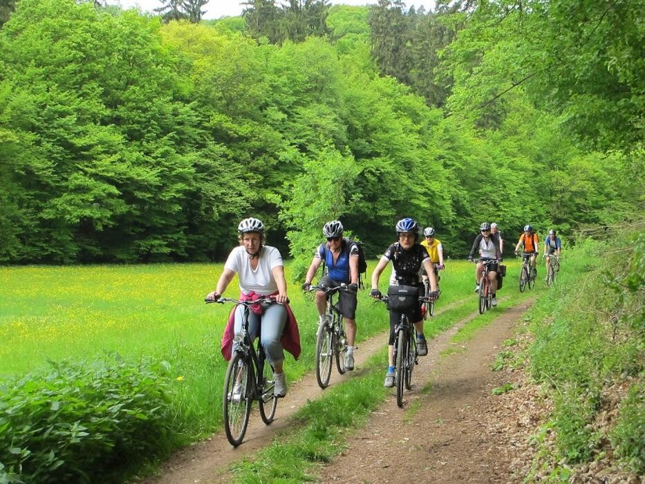 Bilder cult-touren
