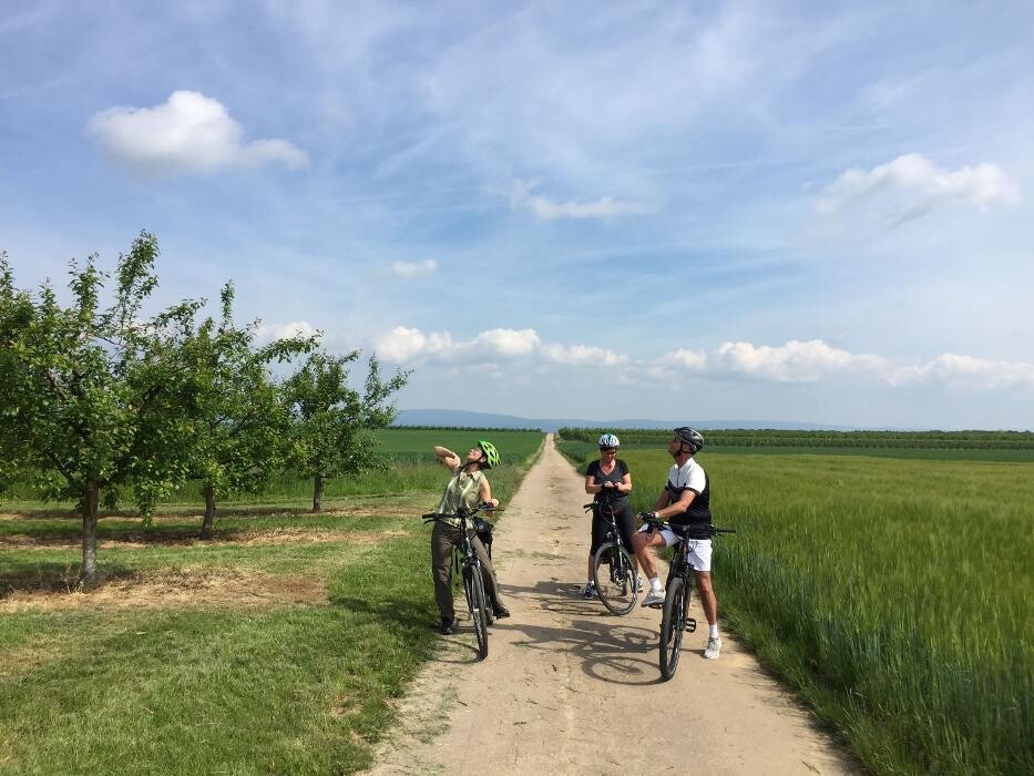Bilder cult-touren
