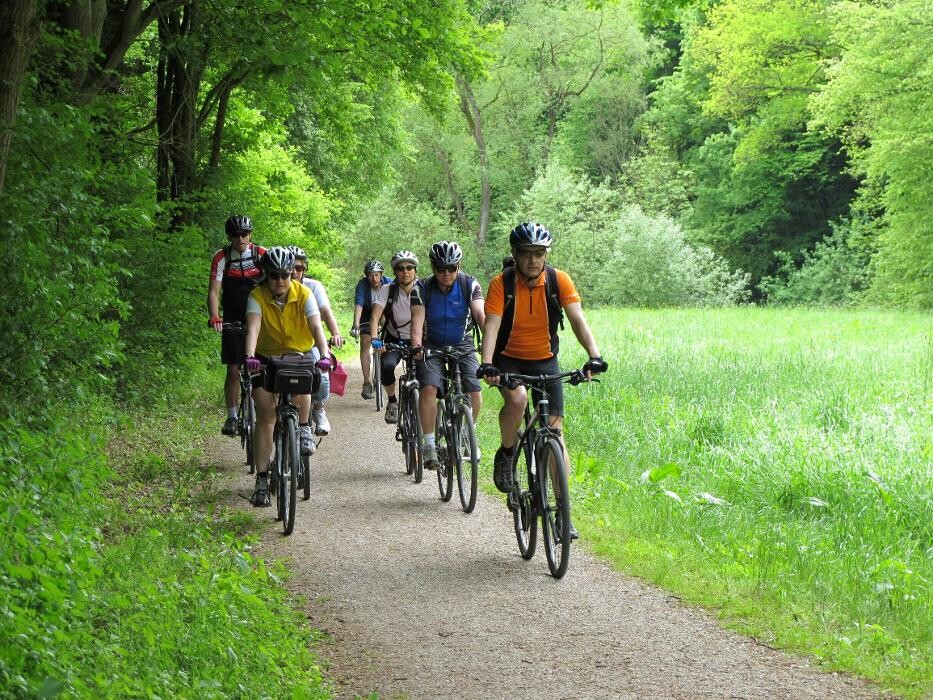 Bilder cult-touren