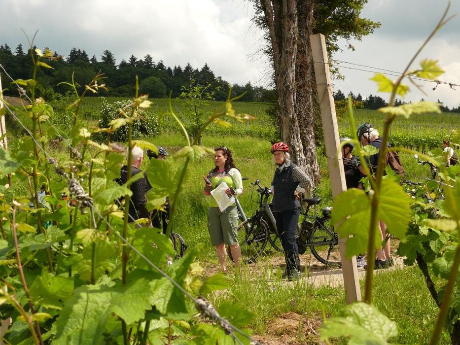 Bilder cult-touren