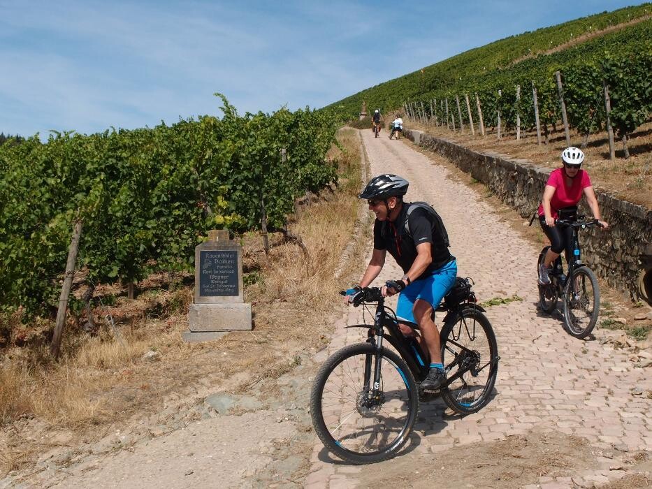 Bilder cult-touren