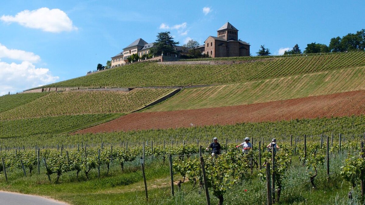 Bilder cult-touren
