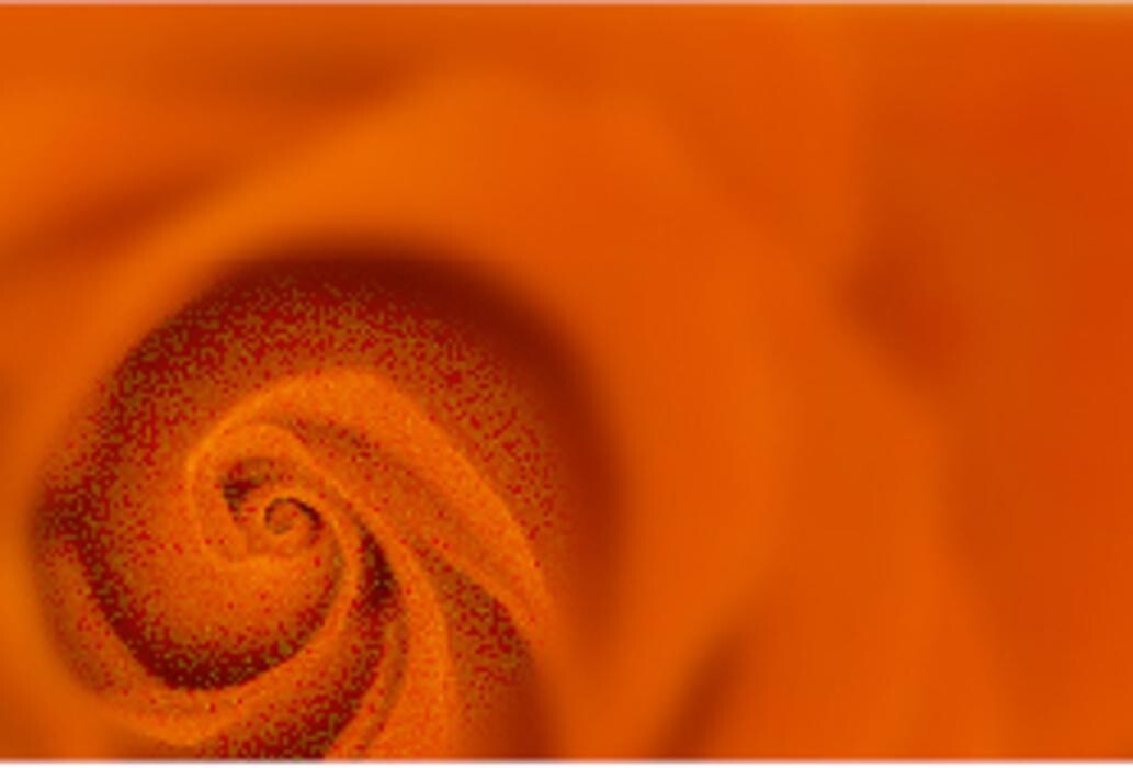 Praxis für Körperpsychotherapie Logo