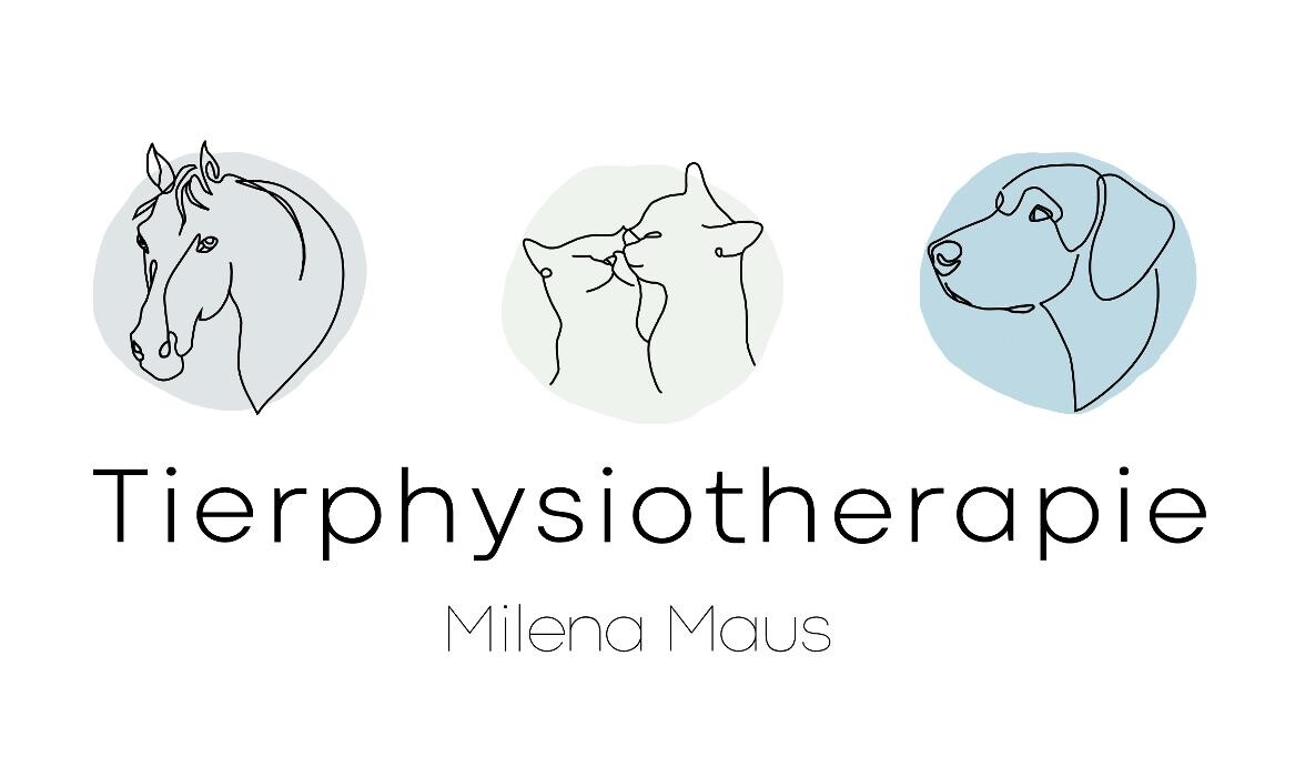 Tierphysiotherapie Maus - Physio- & Chiropraktik Hund & Pferd Logo