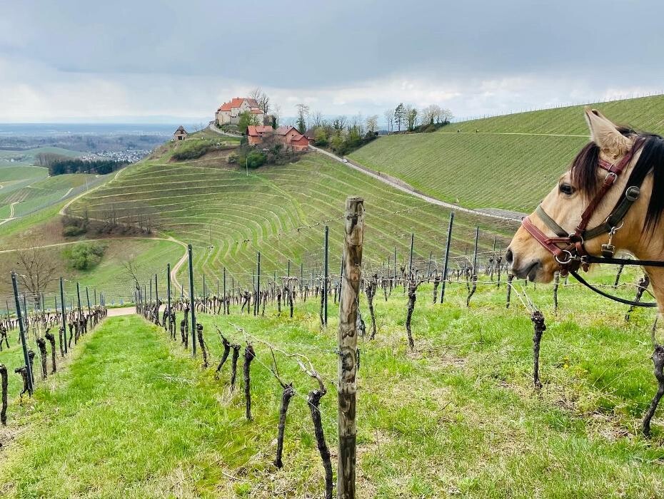 Bilder Outdoorfeelings Wanderreiten Schwarzwald