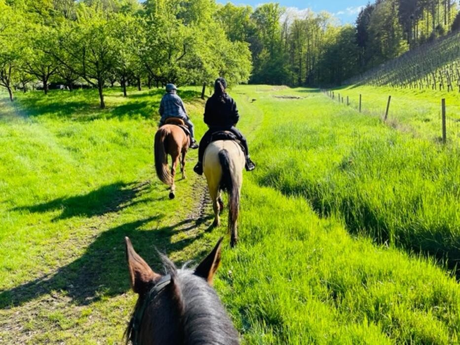 Bilder Outdoorfeelings Wanderreiten Schwarzwald