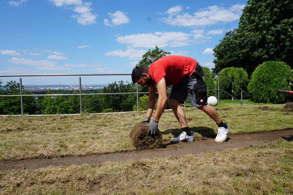 Bilder PUR(e) Sauberkeit