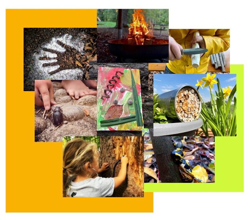 Bilder Naturbummler: Natur - und Umweltpädagogik