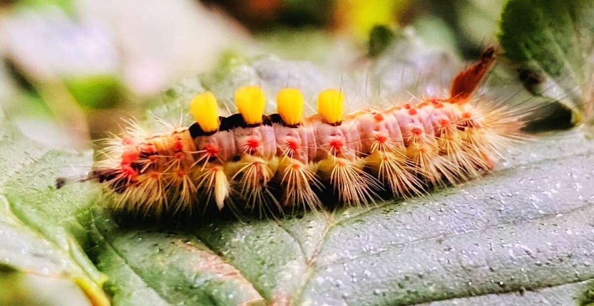 Bilder Naturbummler: Natur - und Umweltpädagogik