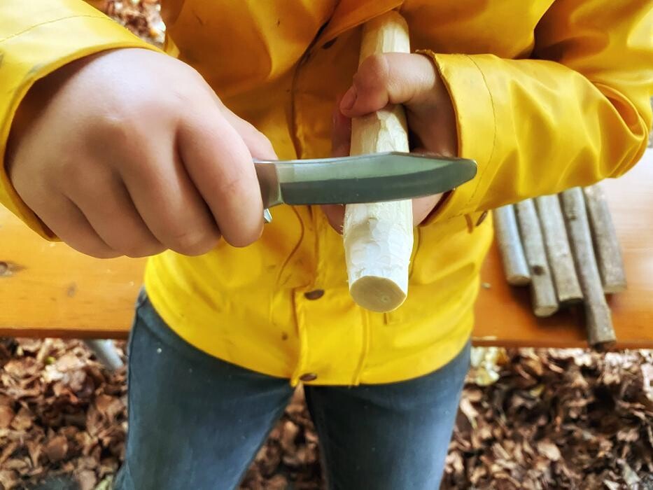 Bilder Naturbummler: Natur - und Umweltpädagogik