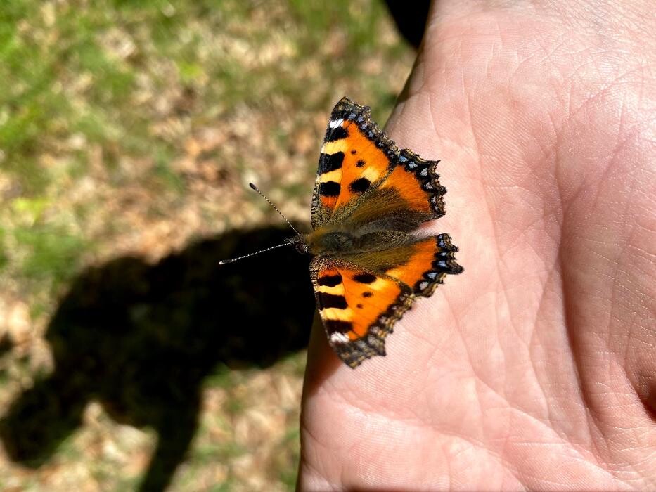 Bilder Naturbummler: Natur - und Umweltpädagogik