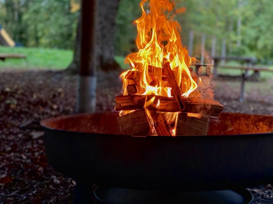 Bilder Naturbummler: Natur - und Umweltpädagogik
