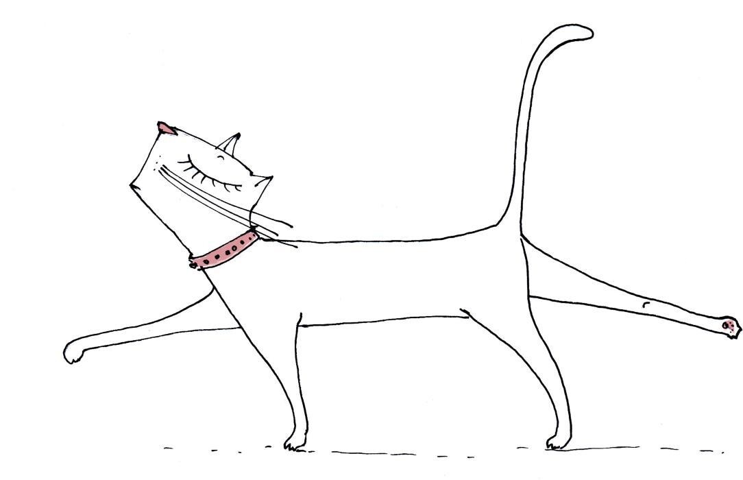Bilder Antje Püpke - Grafikdesign und Illustration