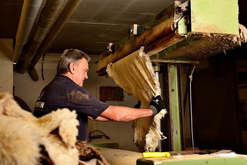 Bilder Gerberei Trautwein