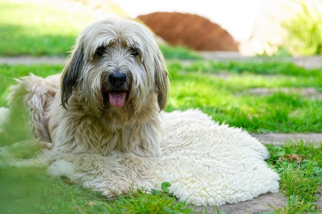 Bilder Gerberei Trautwein