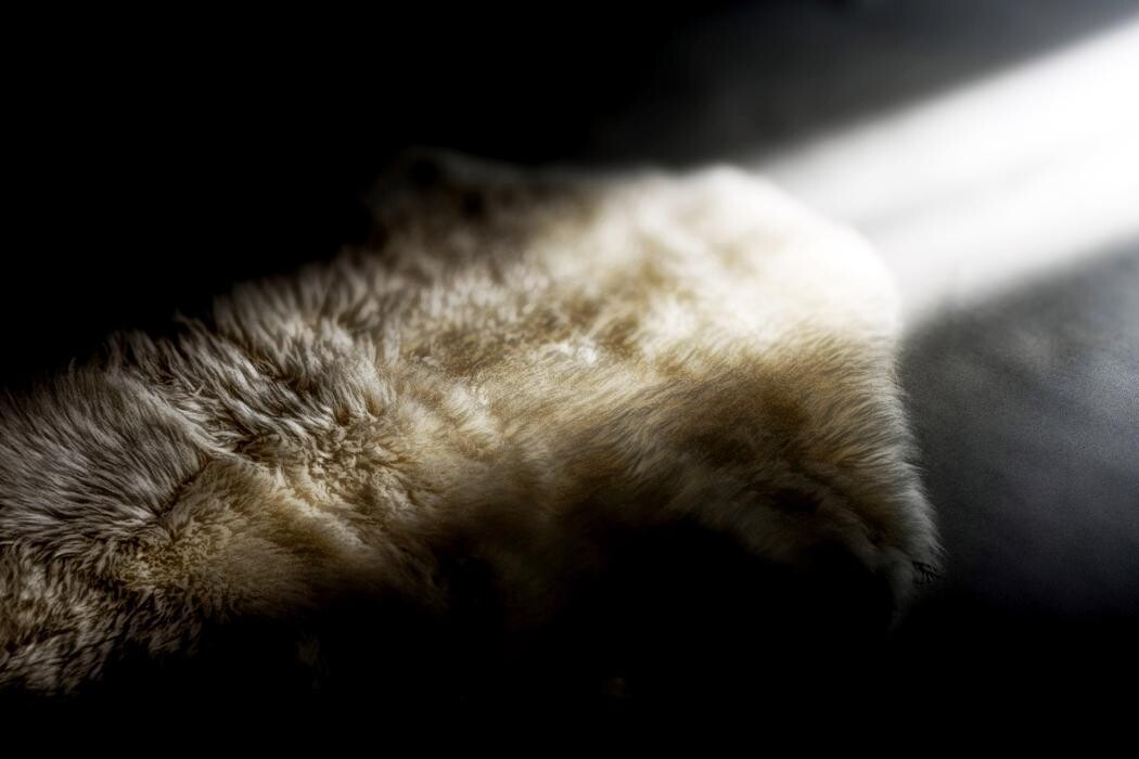 Bilder Gerberei Trautwein