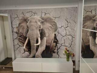 Bilder Malermeister Michael Krieger