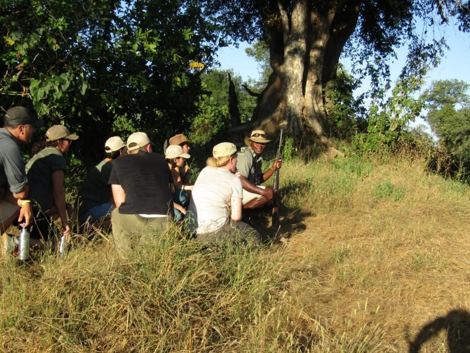 Bilder Zebra Vlei Safaris - Zimbabwe