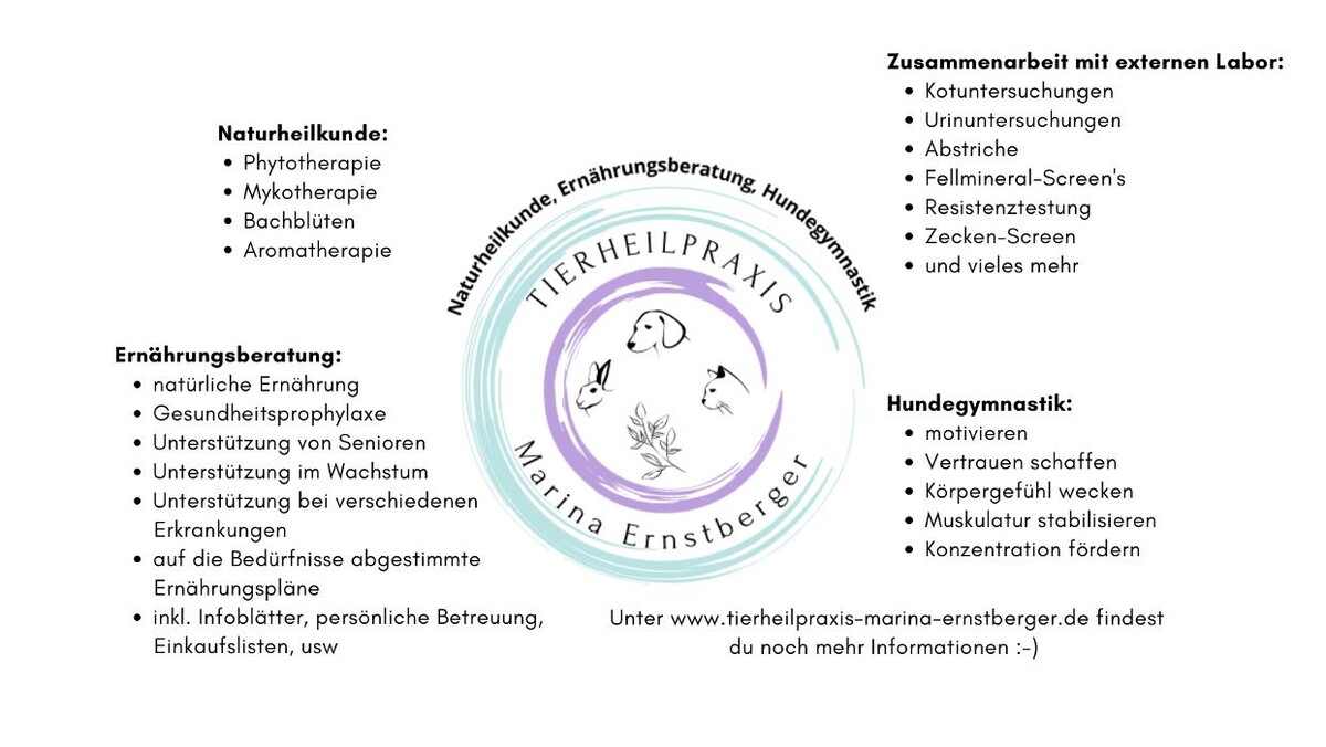 Bilder Tierheilpraxis Marina Ernstberger