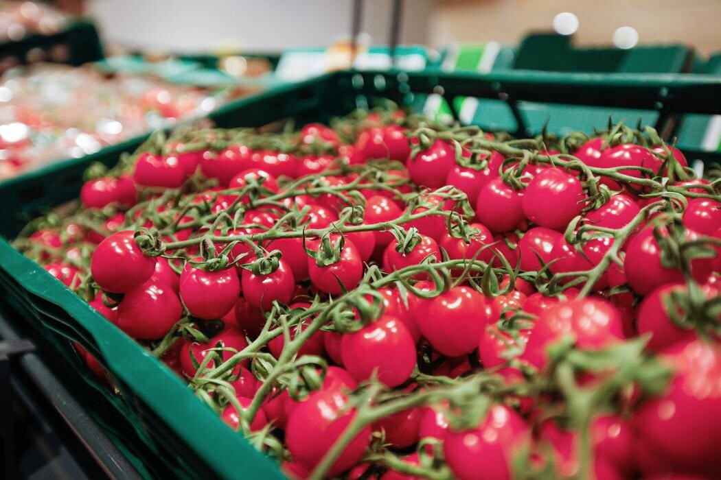 Bilder Kaufland Herzberg (Elster)