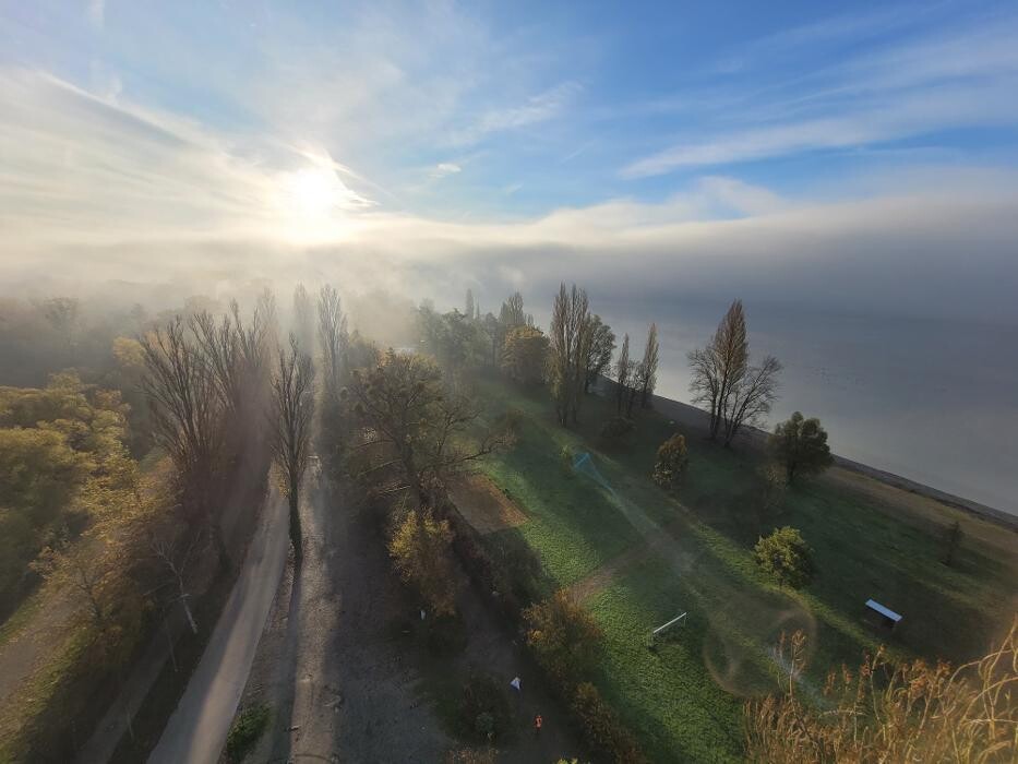 Bilder Baumpfelge Thiele