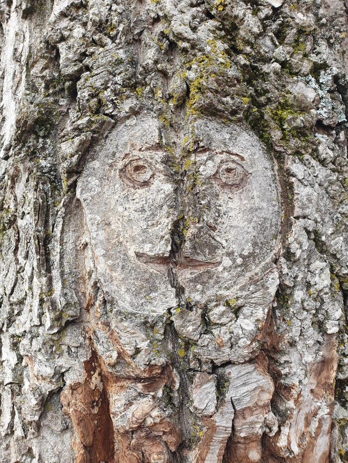 Bilder Baumpfelge Thiele
