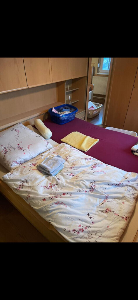 Bilder Transporte Schreck