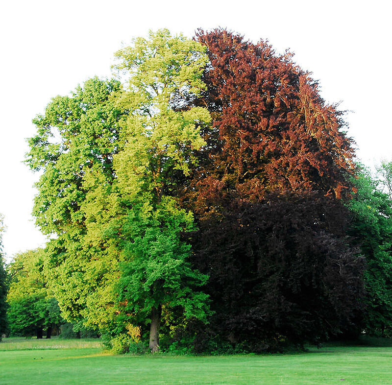 Bilder Familientherapie - Lebenscoach - Systemische Beratung Claudia Baubkus