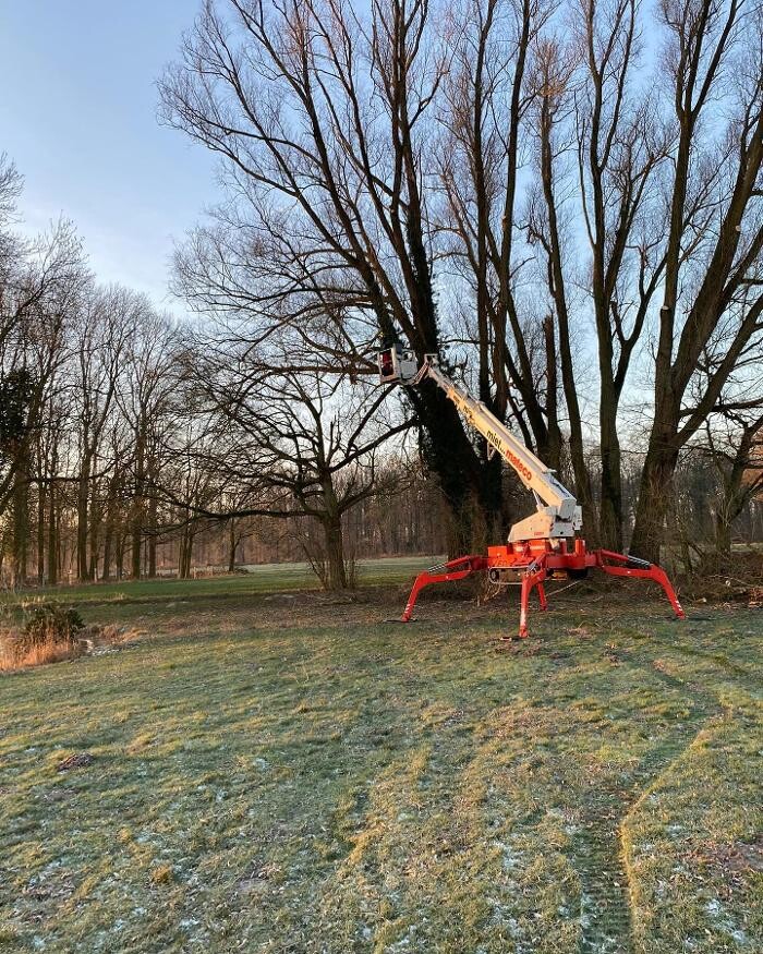 Bilder Juliaan van Ooyen Garten- und Landschaftsbau