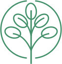 Physio Vital Dresden Striesen Logo