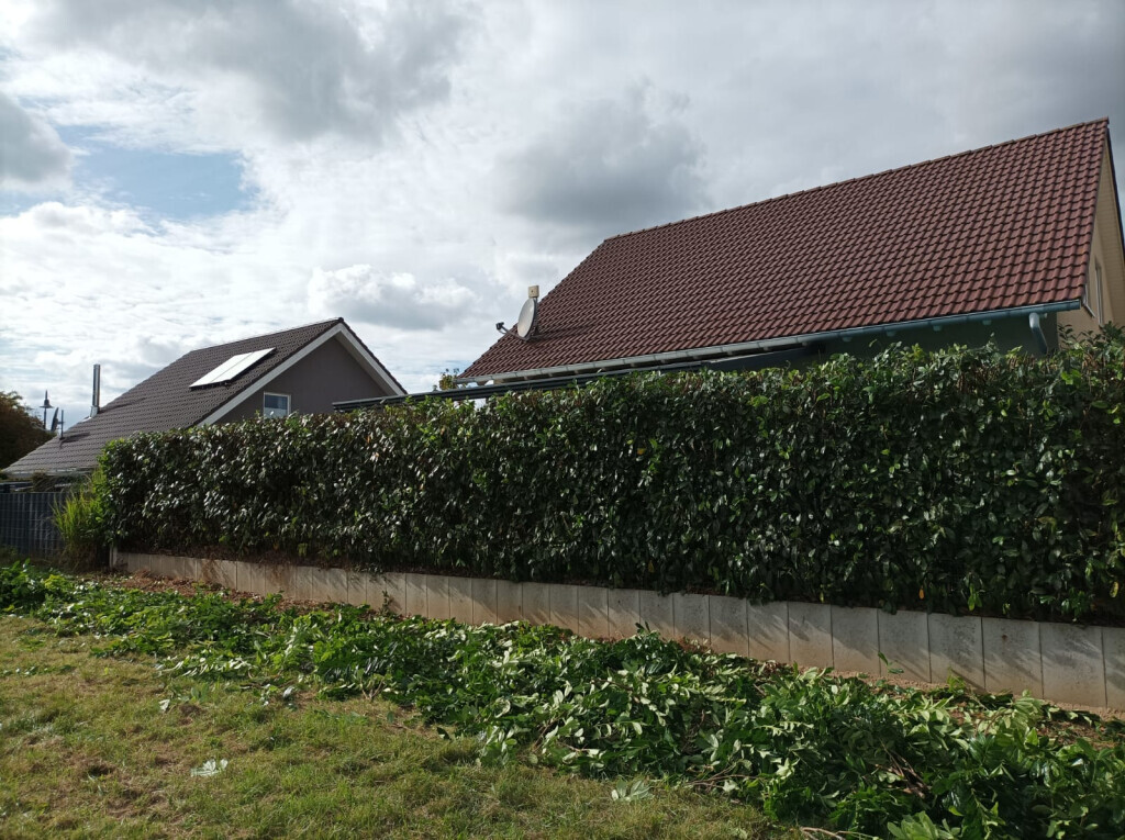 Bilder SC Gebäudereinigung