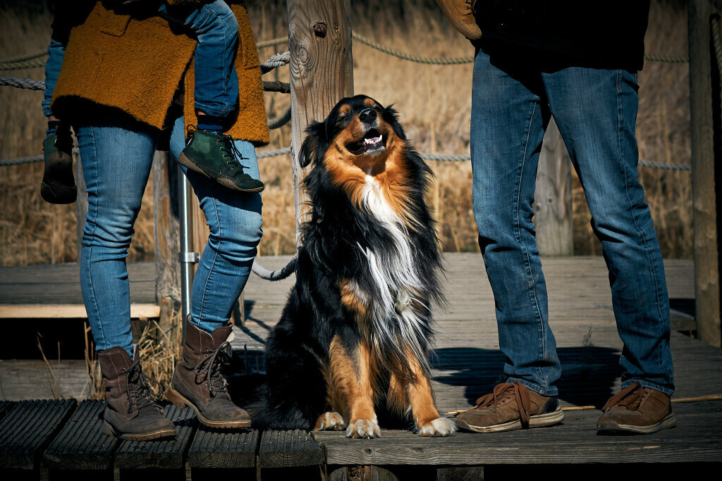Bilder Marlena Schmitz Fotografie