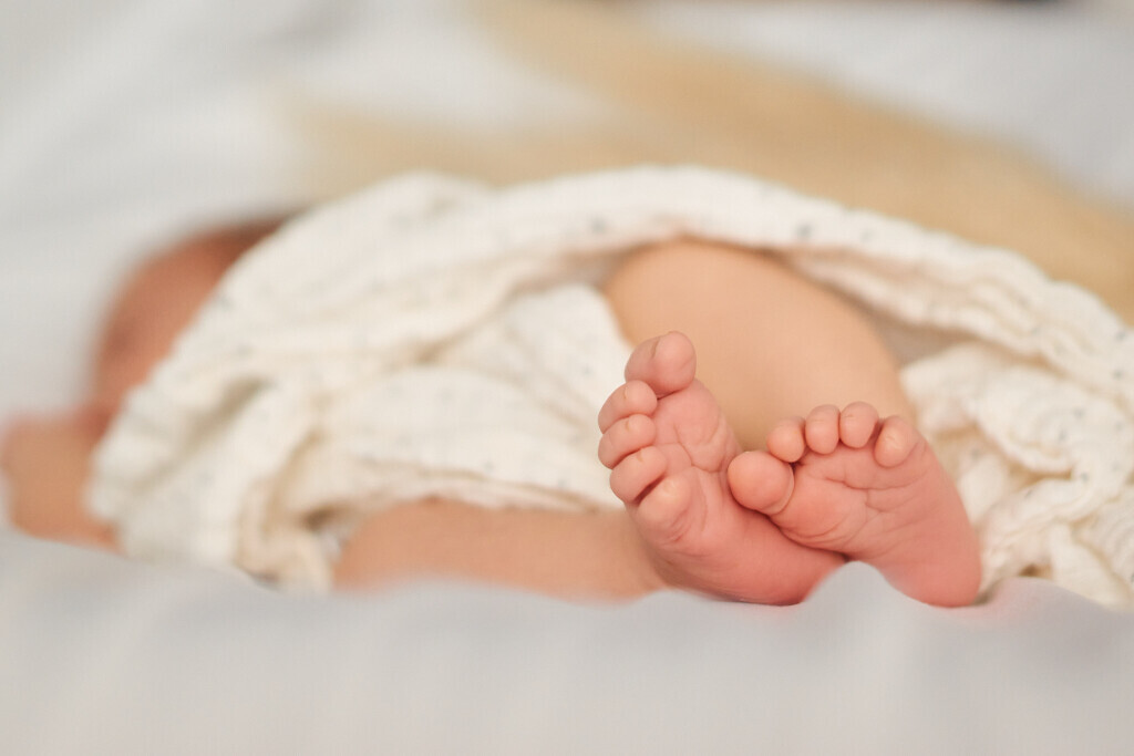 Bilder Marlena Schmitz Fotografie