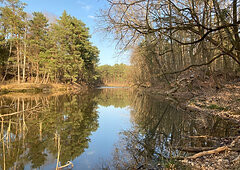 Bilder Bungalow im Wald am See Flaeming Sachsen Anhalt