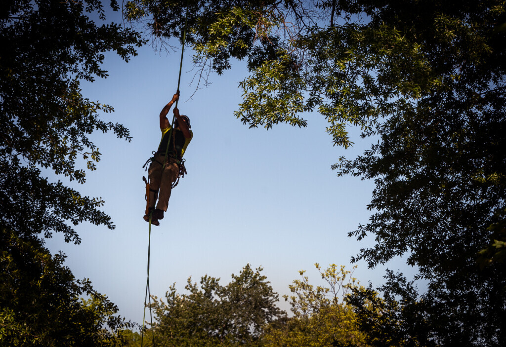 Bilder de Jong – Gartengestaltung-Baumpflege