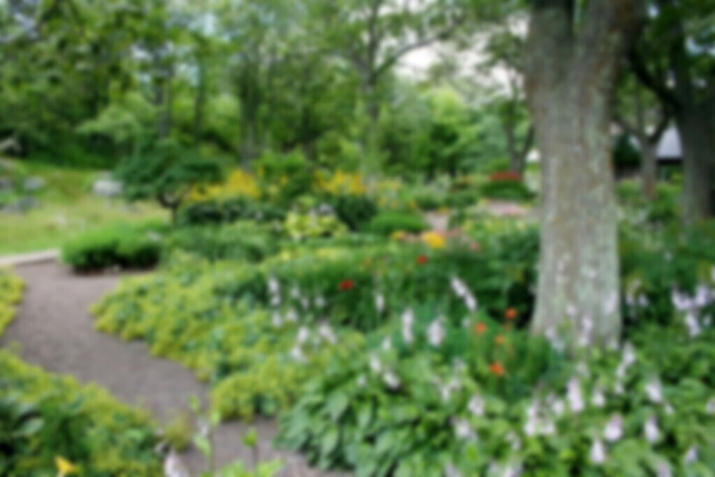 Bilder Hartmann Garten & Landschaftsbau