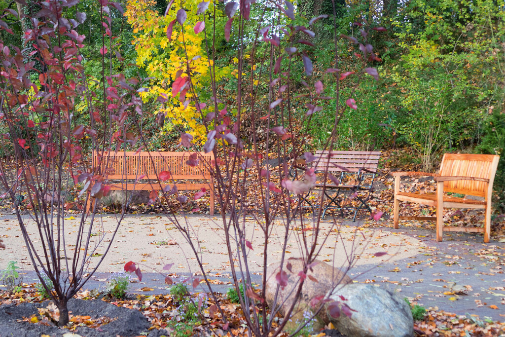 Bilder Bestattungs-Institut Wellborg GmbH