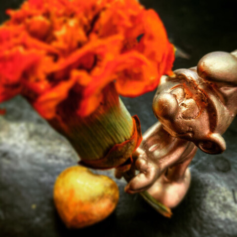 Bilder Schiefer & Co. (GmbH & Co.)