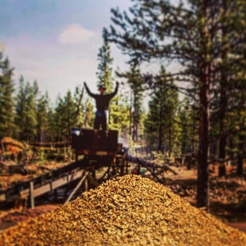 Bilder Schiefer & Co. (GmbH & Co.)