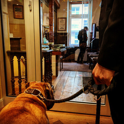 Bilder Schiefer & Co. (GmbH & Co.)