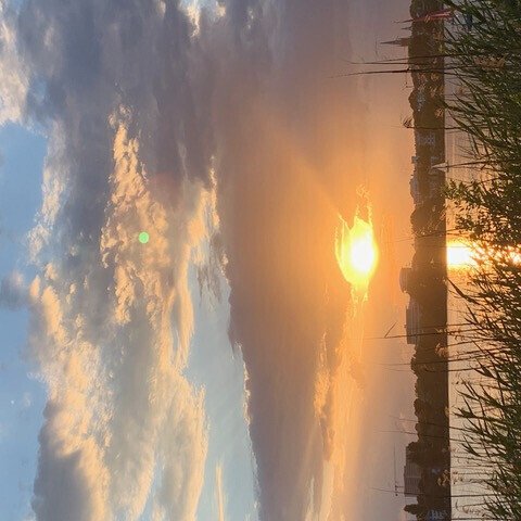 Bilder Schiefer & Co. (GmbH & Co.)