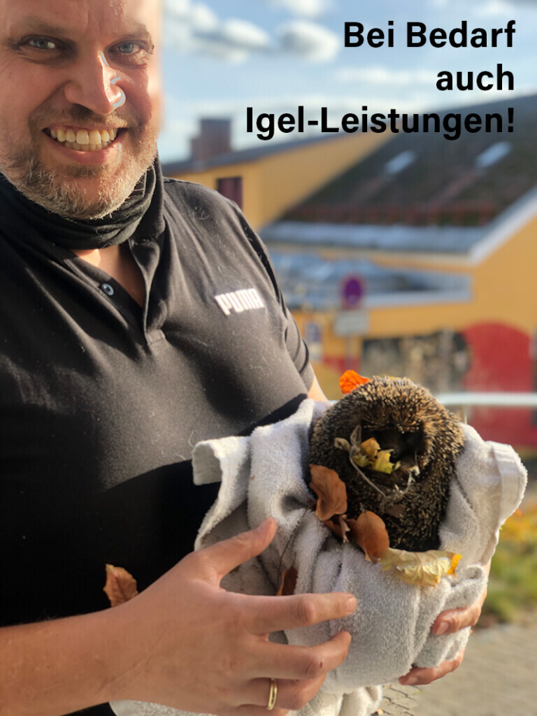 Bilder Park-Apotheke