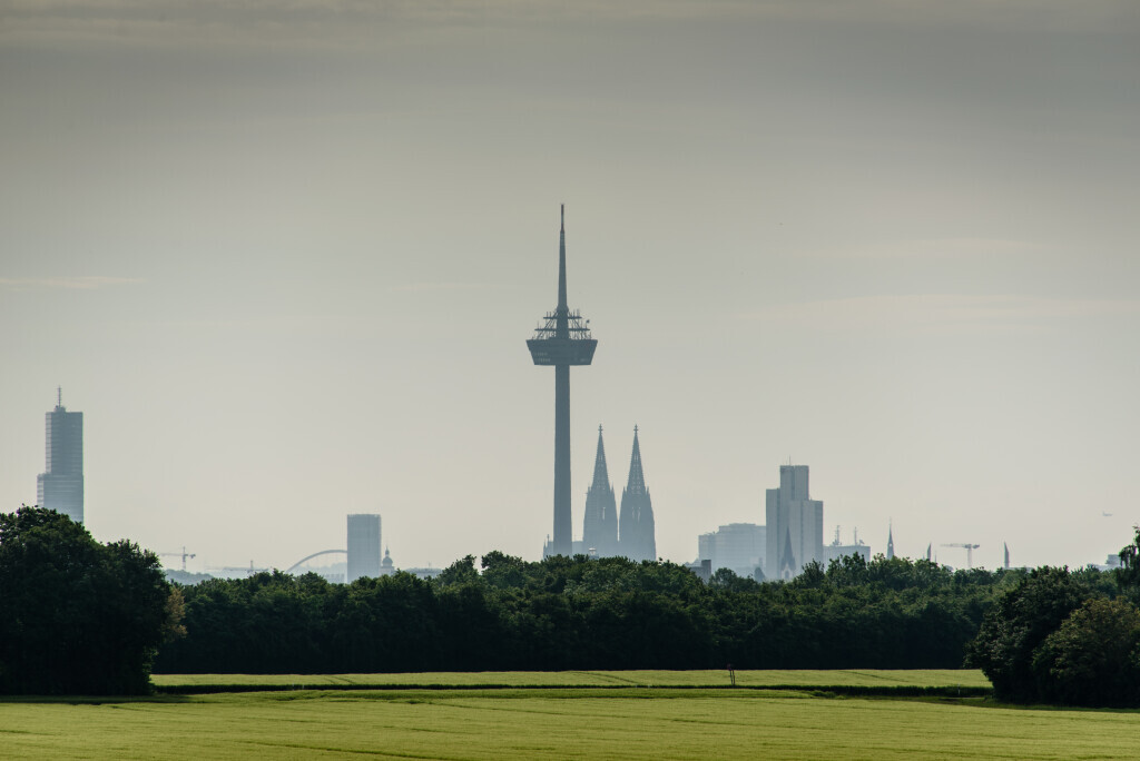 Bilder Steuerberater Dirk Bracht