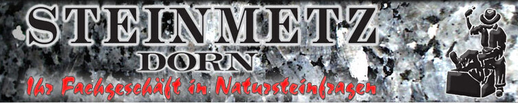 Steinmetz Dorn Logo