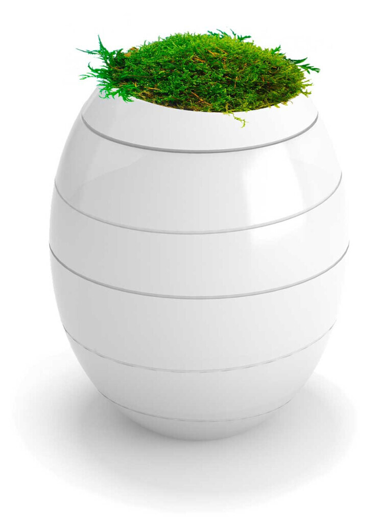 Bilder Arcum Bestattungen