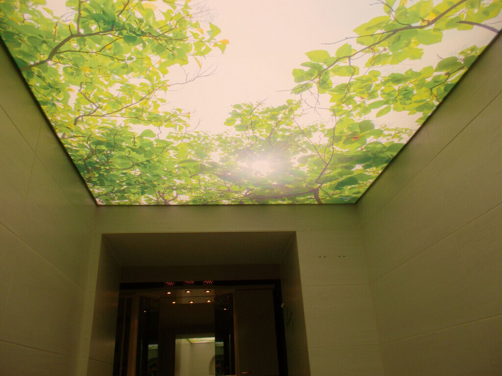 Bilder Meyer Spanndecken - Innenausbau - Beschichtungstechnik