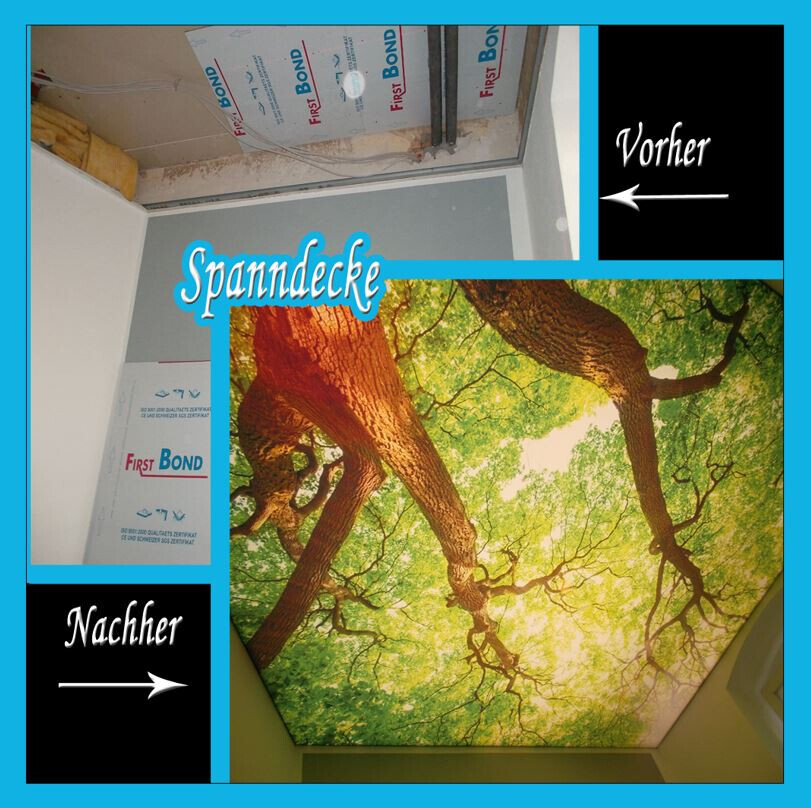 Bilder Meyer Spanndecken - Innenausbau - Beschichtungstechnik