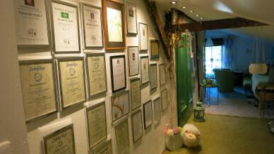 Bilder Rosemarie Hofmann Hypnose Praxis