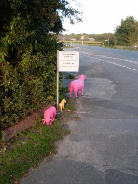 Bilder Rosemarie Hofmann Hypnose Praxis