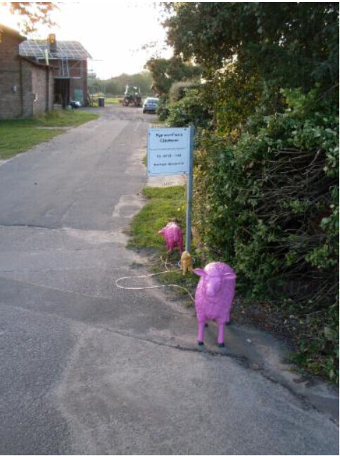 Bilder Rosemarie Hofmann Hypnose Praxis